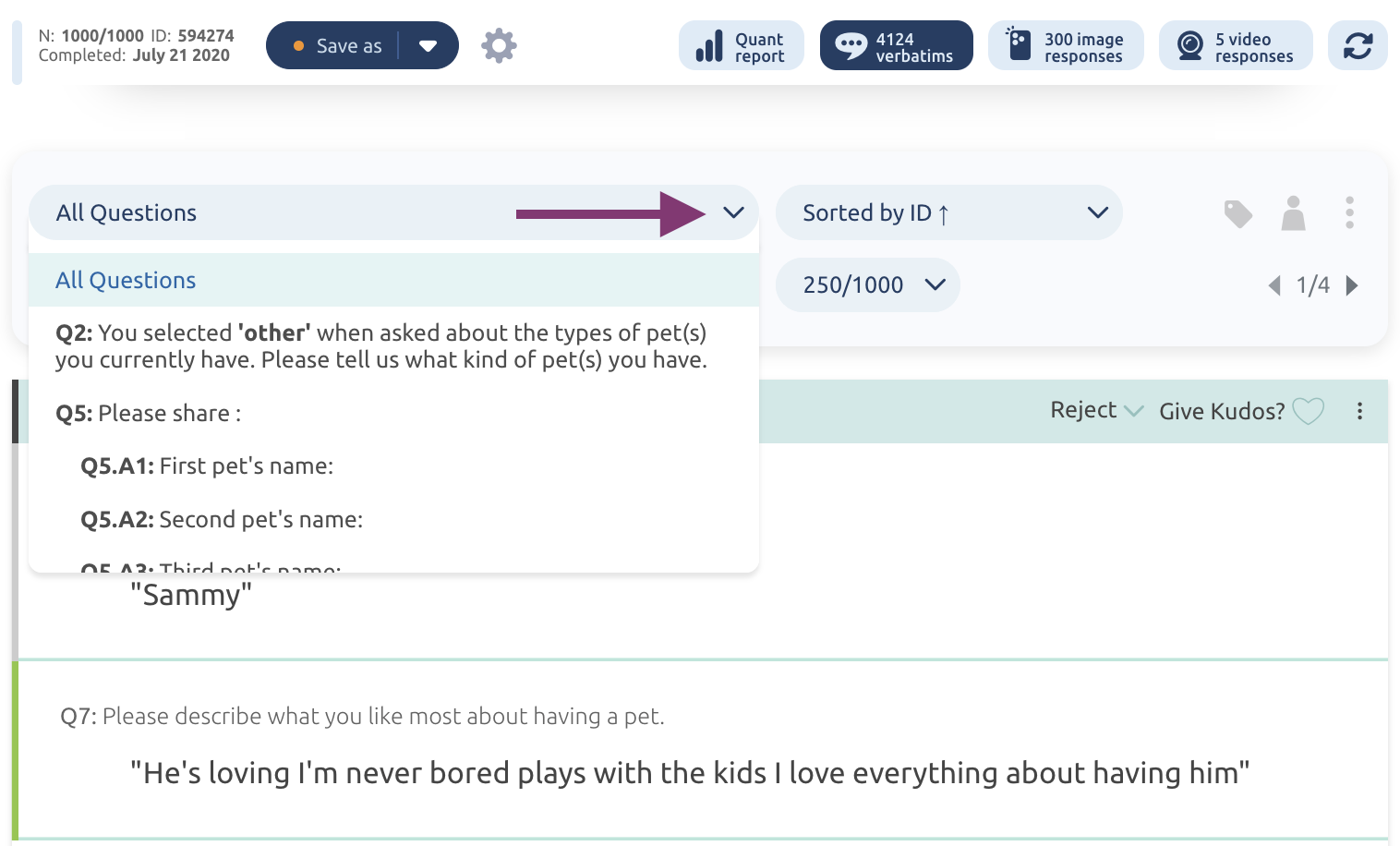All questions drop-down used to filter verbatims by question